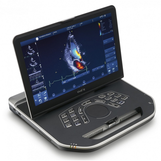 Апарат УЗД GE Healthcare Vivid Iq