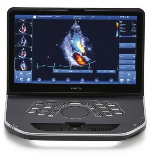 Апарат УЗД GE Healthcare Vivid Iq