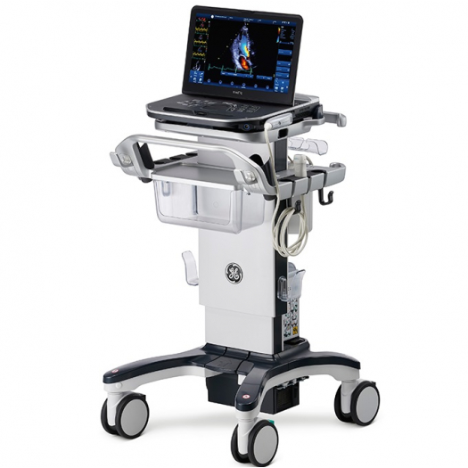 Апарат УЗД GE Healthcare Vivid Iq